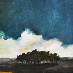 Canopy of trees
