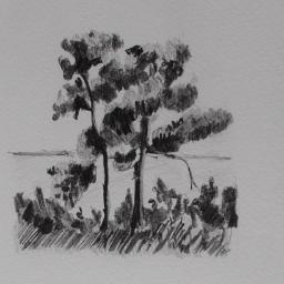 Pencil sketches of trees and shoreline