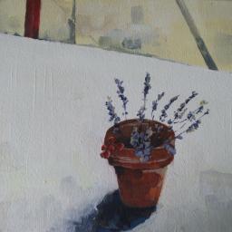 Plant pot and dried flowers