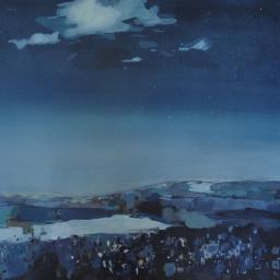 Night time scene of countryside
